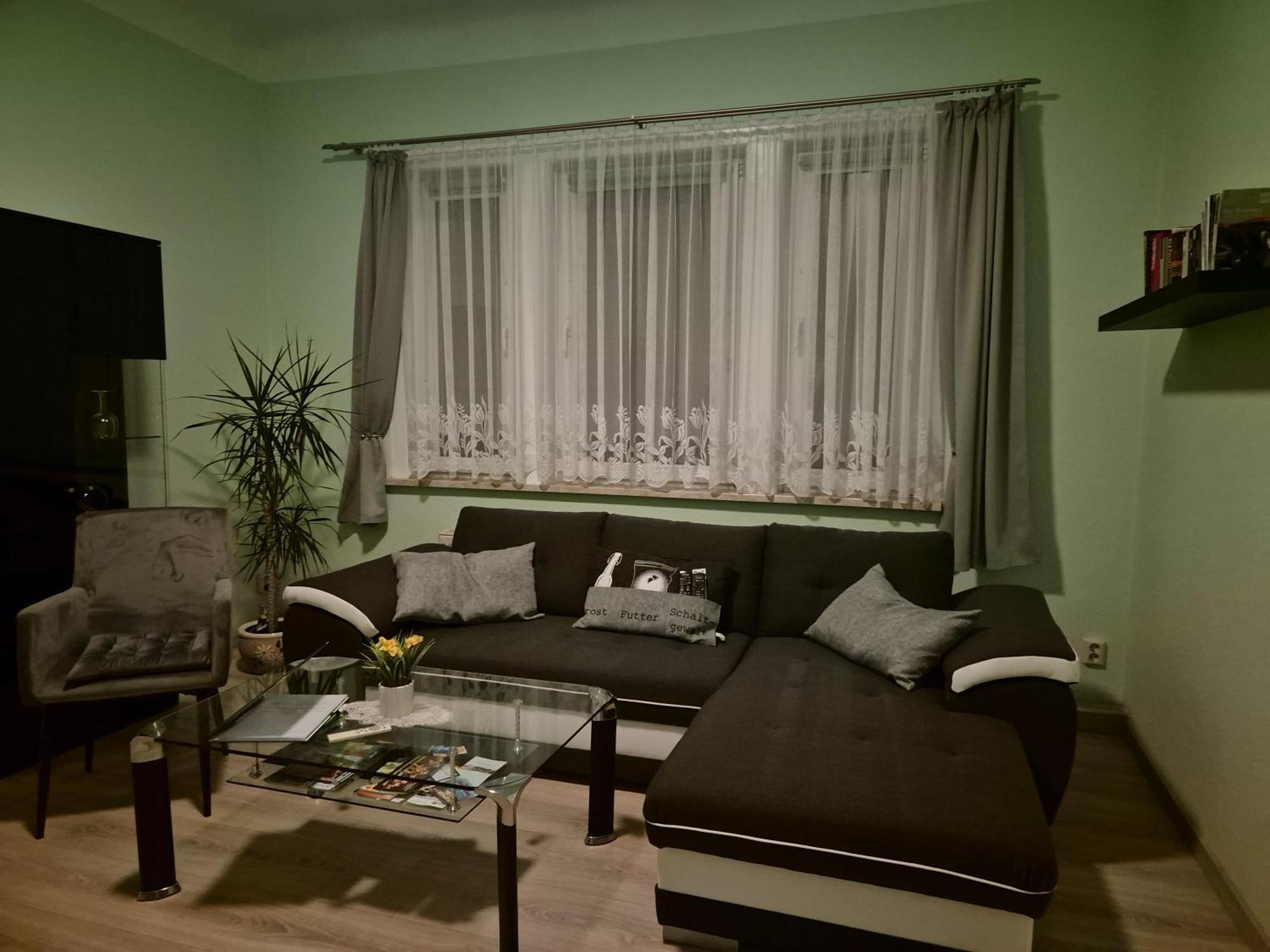 Ferienwohnung Burgblick Plaue  Buitenkant foto
